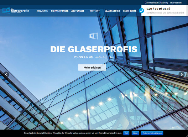 Die Glaserprofis